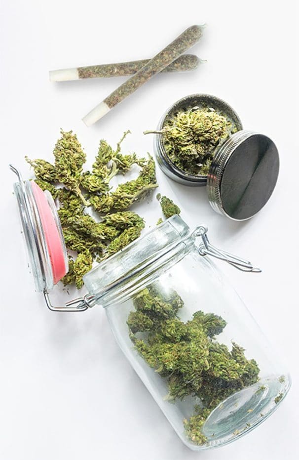 An essential for your cannabis stash bag is your favorite flower