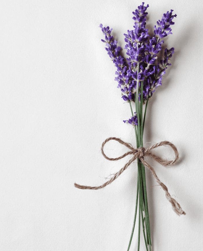 The benefits of linalool are what makes lavender so soothing.