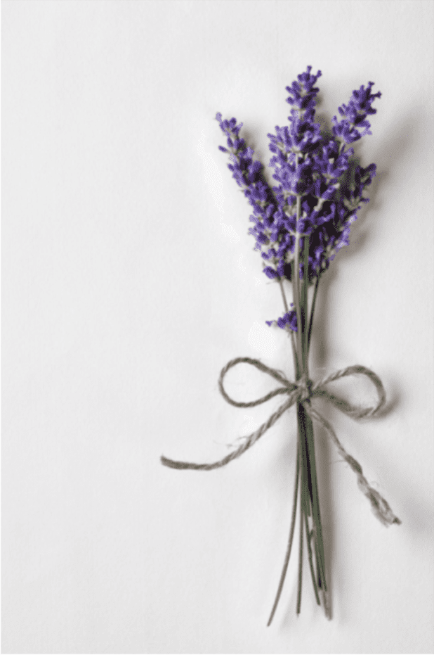 Lavender is dominant in linalool