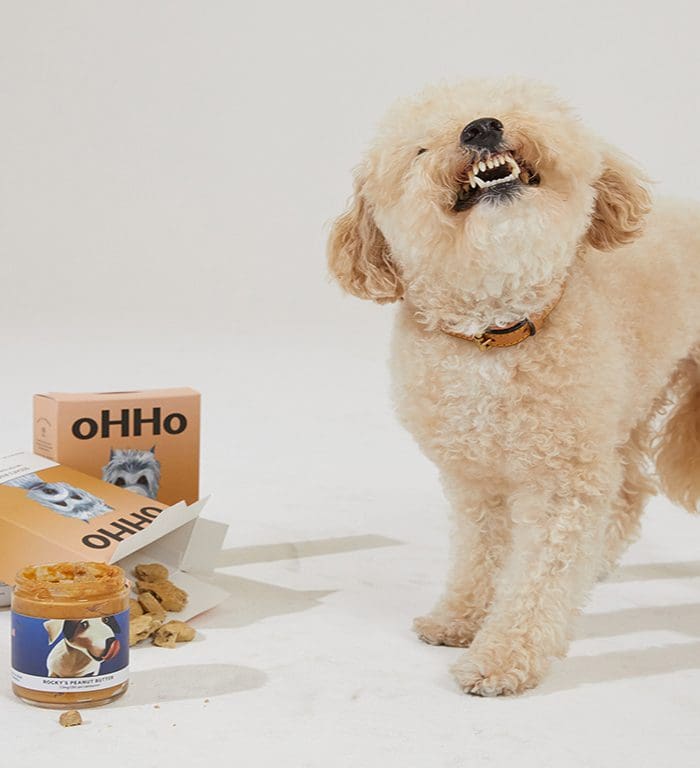 oHHo CBD dog treats are one of our favorites
